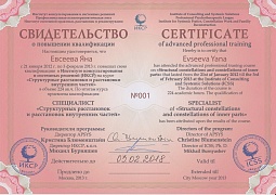 Сертификат Структурные расстановки